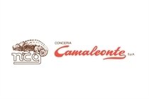 Conceria Camaleonte Spa