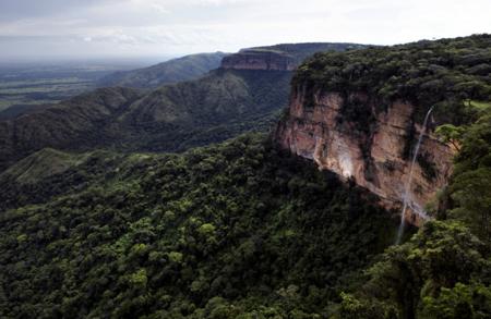 Leather Manufacturer WEBINAR: Deforestation due diligence and regulatory compliance