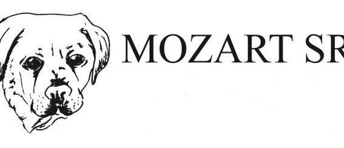 Mozart Srl