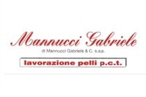 Mannucci Gabriele di Mannucci Gabriele & c. s.a.s.