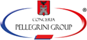 Pellegrini Group Srl