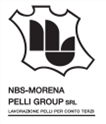 NBS Morena Pelli Group Srl